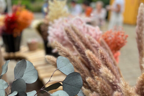 Hochwertige Trockenblumen als Bais für den Workshop Kränze binden am 14. Juni 2026 durch Studio Mirella Waghäusel